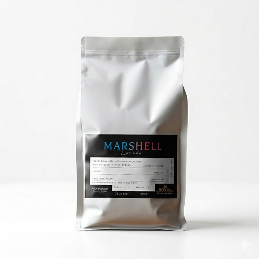Marshell Lavado — Edición Limitada